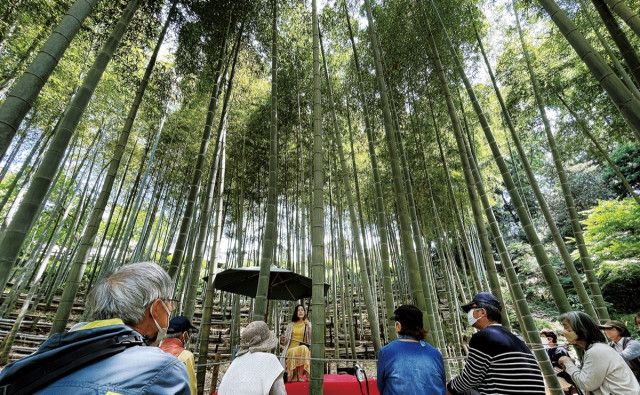竹林で二胡の調べに魅了 天王森泉公園で初開催〈横浜市泉区〉