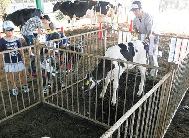 宮原で畜産まつり開催 10月１日　バター作りなど〈藤沢市〉