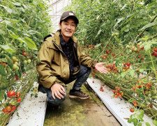 独自の栽培方法で育てたトマトを紹介する佐藤さん