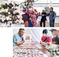 花々が拡散した２日間 中央公園で46回目の祭典〈厚木市・愛川町・清川村〉