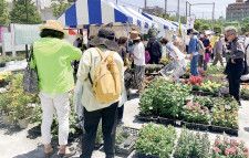 ｢花フェスタ｣に人出 花々や新緑に触れる〈横浜市保土ケ谷区〉