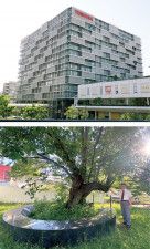 （上）スマートコミュニティセンター（下）ベンチに東芝の歴史が刻まれた桜の木