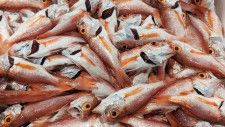 ｢魚が獲れない日本｣漁師の減少が原因ではない訳