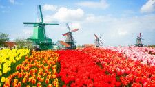 春の旅行に最適｢美しい街並みを堪能できる国｣3選 フランス･オランダ､そしてランタンのあの国