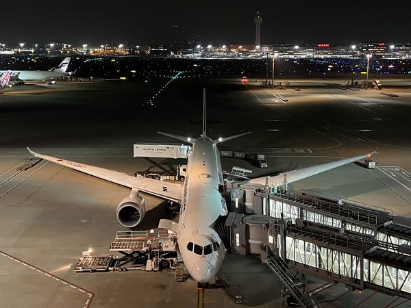 「初の日系航空中東直行便」 JAL「羽田〜ドーハ線」開設のメリットは？ ついに就航！