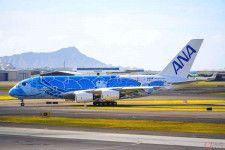 ANAのエアバスA380「フライングホヌ」（乗りものニュース編集部撮影）。