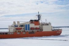 南極の氷を割りながら帰路につく南極観測船「しらせ」（画像：海上自衛隊）。