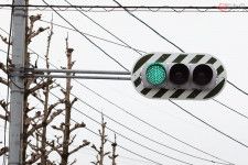 長崎県大村市に設置されているゼブラ柄の背面板が付いた信号機（乗りものニュース撮影）。
