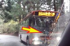 ナンバープレートがフロントの真ん中付近にあるバス。伊豆半島を走る東海バスの車両（乗りものニュース編集部撮影）。