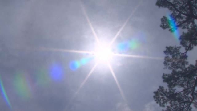 【速報】鳥取市で３１日目の「猛暑日」統計開始以来１位の記録を更新