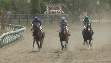 ジョッキー姿の騎馬武者が躍動　野馬追の技術向上に競馬大会　福島