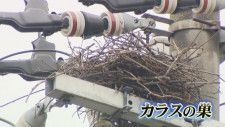 AIシステムでカラスの巣を一掃へ　電線にまとわりつく巣の撤去で停電防ぐ　北陸電力送配電　富山