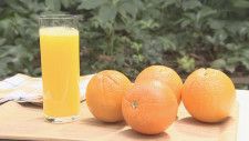 オレンジ消費量日本一の富山市でも影…ジュースの販売休止相次ぐ　富山