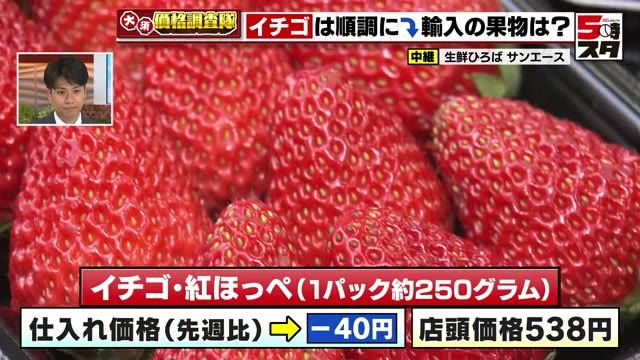 イチゴ・紅ほっぺの仕入れ価格が1パック40円値下がり　店頭価格538円　名古屋・大須で価格を調査
