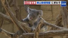 ゴールデンウィーク　「東山動植物園」は家族連れでにぎわい　コアラの赤ちゃんが人気