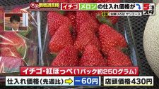 母の日直前「イチゴ」が値下がり　需要増加も旬も終わりを迎える　果物の価格を調査