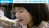 食べてよし！見てよし！「ホタルイカ祭り」に多くの家族連れ　富山・滑川市