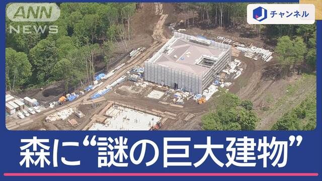 森に“謎の巨大建物”正体は? 木を違法伐採で…誰が?何のため?