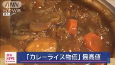 カレーライス物価“最高値”　1食あたり377円