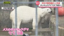 【人気者お別れ】メスのホッキョクグマ「モモ」秋田の動物園へ送る会（浜松市動物園）