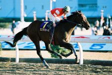 エスプリシーズ - 川崎記念を圧勝した、生え抜きの川崎馬