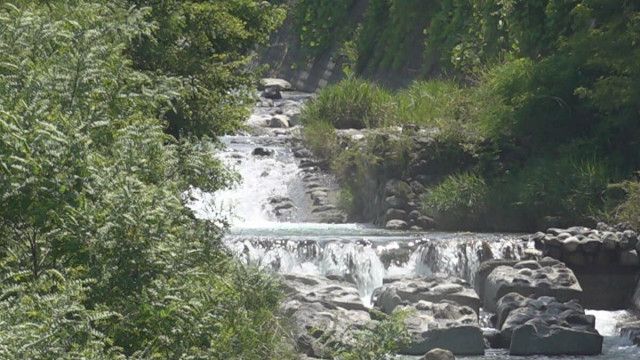 「クマに襲われた」「鼻がとれそう」と通報　1人で釣りをしていた男性がクマに襲われけが　山梨・北杜市
