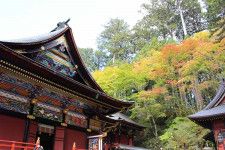 パワースポットとしても人気の「三峯神社」