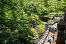 軽井沢の地にあった地形や樹木を生かした作りに！ 四季折々の情景を臨める“星のや軽井沢”の「棚田ラウンジ」が誕生！