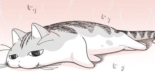 【ネコ漫画】猛暑に耐えられず溶けそうな愛猫!?ネコが選んだ意外な熱中症対策にSNSで7.7万いいね！