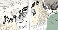【ネコ漫画】大好きな飼い主を威嚇する猫…!?愛猫との日常を描いた漫画がSNSで話題沸騰
