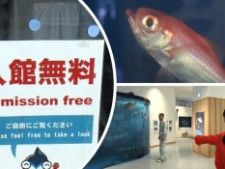 【焼津】「0円で遊べる」海の2施設　水族館のよう! 深海生物が待ってるよ