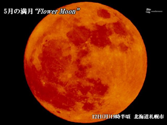【本物新品保証】 満月「フラワームーン」が夜空を照らす(ウェザーニューズ) goo - コレクション