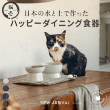 累計260万個突破！「猫壱」が手がける大人気猫用食器にMade in Japan商品が新登場