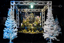横浜ワールドポーターズの期間限定水族館「UNDER WATER SPACE」で企画展「宙(そら)と水のクリスマス・シンフォニー」開催！
