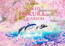 マクセル アクアパーク品川、桜のデジタルアートで彩る海のお花見！春季限定イベント「NAKED SAKURA AQUARIUM」3月2日より開催