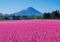 富士本栖湖リゾート、春の絶景「富士芝桜まつり」4月13日より開催！「ピーターラビット™ イングリッシュガーデン」も営業開始