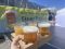 GWに埼玉のクラフトビールが集結する！「埼玉・武蔵野ビールフェス in サクラタウン2024春」4月27日より開催