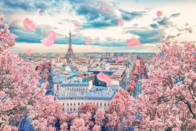 【ヨーロッパ】日本を感じられるお花見スポット5選｜海外で桜を楽しもう♪