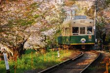 京都嵐電の乗り方ガイド｜観光から日常まで便利に使いこなす方法