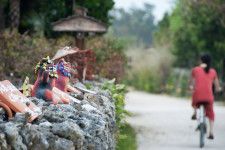 沖縄サイクリングのすすめ！絶景ルートと旅のコツ完全ガイド