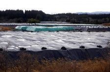 原発事故の除染土最終処分場の受け入れ、５県が「条件次第で検討の意向」…読売新聞調査