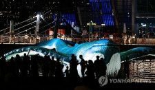 韓国では韓流コンテンツを生かしたイベントが活発に開催されている。ソウルで開かれたイベント（資料写真）＝（聯合ニュース）