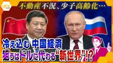 【独自】中国とロシアが狙う、ドルに代わる“新たな世界”…課題山積で経済が低迷している中国、今後の頼みは日本の補助金？国内で抱える深刻な問題を徹底解説