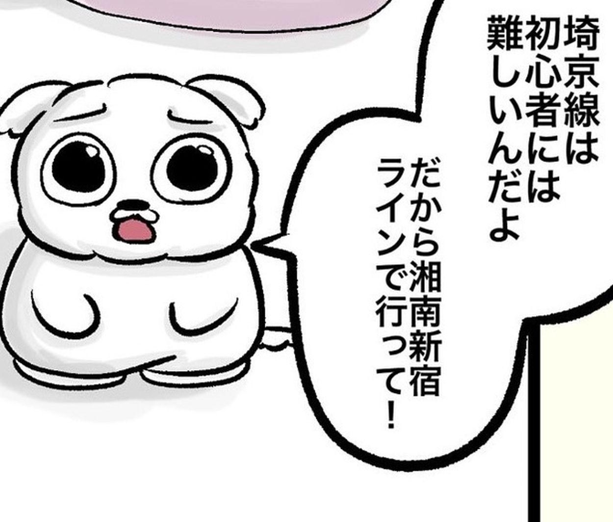 偏見!?】「初心者は埼京線より新宿湘南ラインで！」とアドバイス