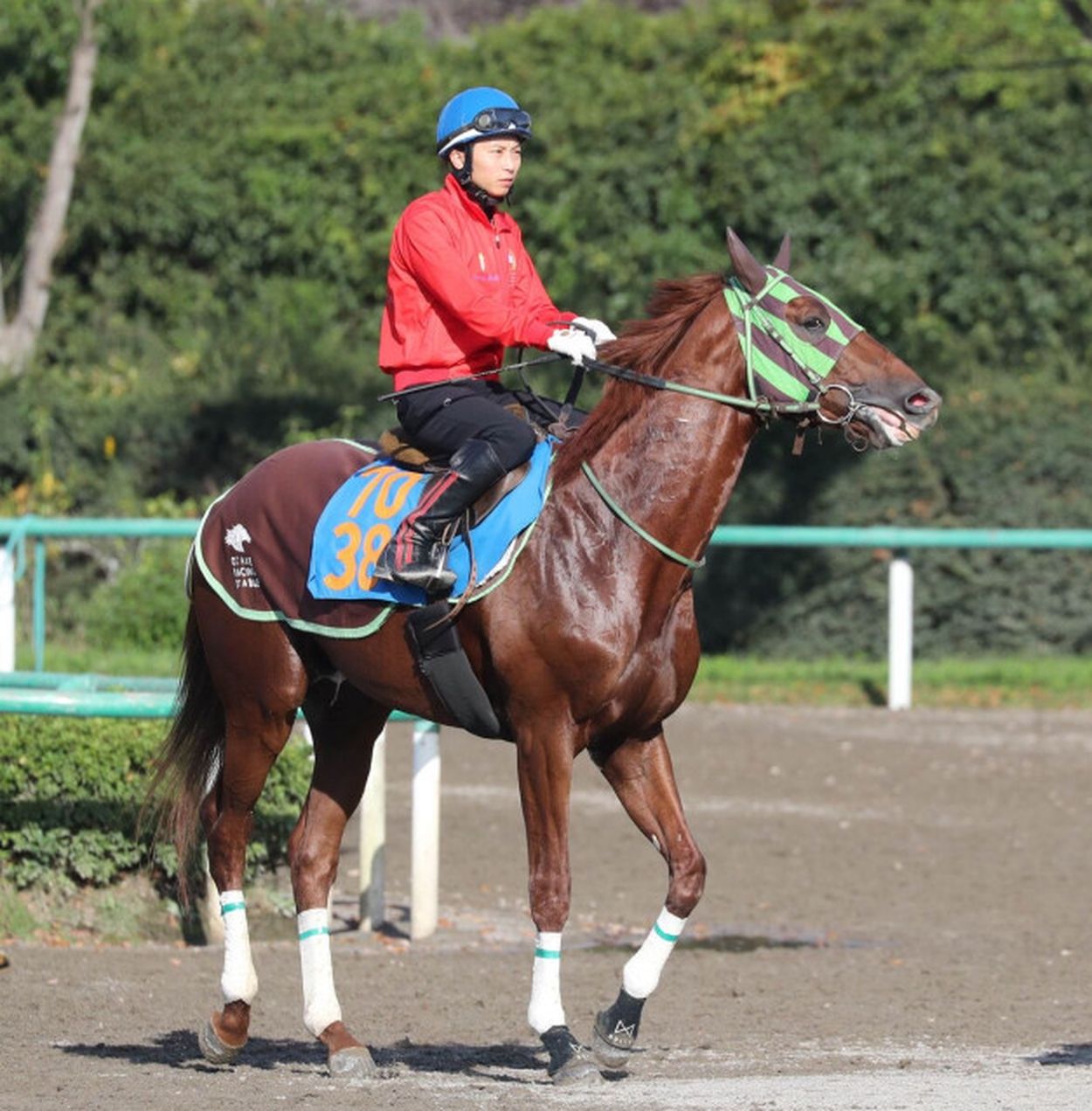 土曜東京競馬場の注目激走馬…東京１１Ｒ武蔵野Ｓ・Ｇ３