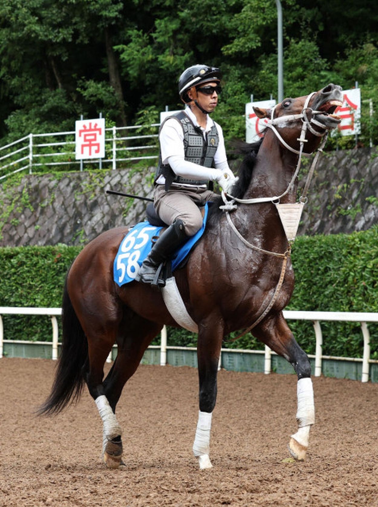 日曜東京競馬場の注目激走馬…東京１１Ｒオクトーバーステークス（Ｌ）