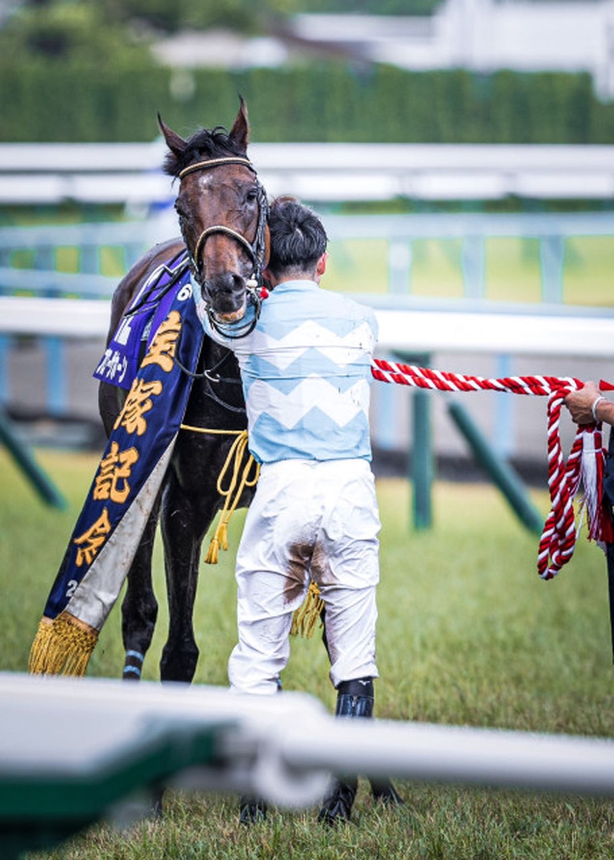 重賞回顧］雨中に鳴り響くアキラコール！外ラチ沿いの攻防を制したブローザホーンが悲願のGⅠ初制覇〜2024年・宝塚記念〜(ウマフリ) - goo ニュース