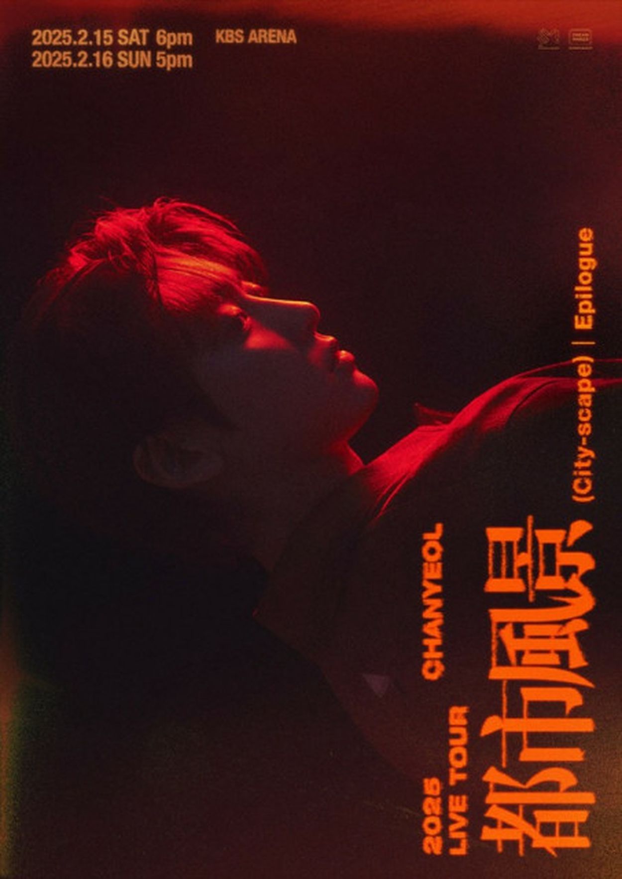 CHANYEOL (EXO) ライブBlu-ray＆DVD『2024 CHANYEOL LIVE TOUR