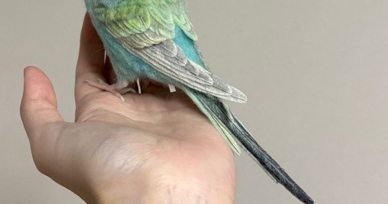 羊毛フェルトでつくったセキセイインコ、生きてるとしか思えない