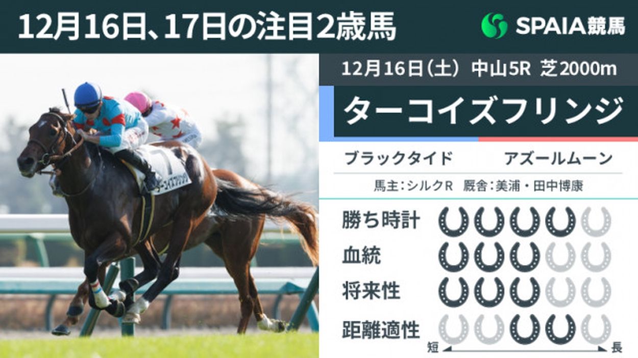 注目2歳馬】持久力問われる展開で減速せず押し切り ブラックタイド産駒